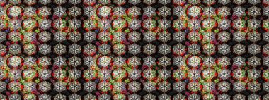 Raster illüstrasyonundaki çiçek desenli çizim. Suluboya tarzında siyah ve kahverengi renkte çiçekler.