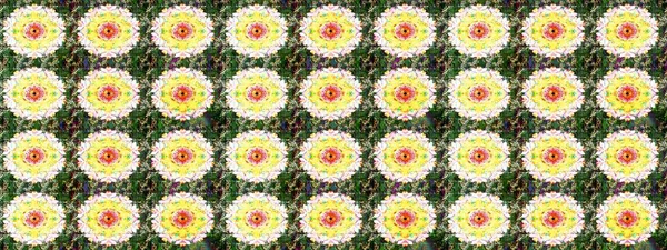 Kusursuz. Küçük çiçekteki sevimli çiçek deseni. Raster illüstrasyonu.