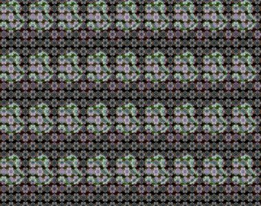 Vadinin çiçekleri siyah ve nötr renklerde. Raster çiçek desenleri çiziyor..