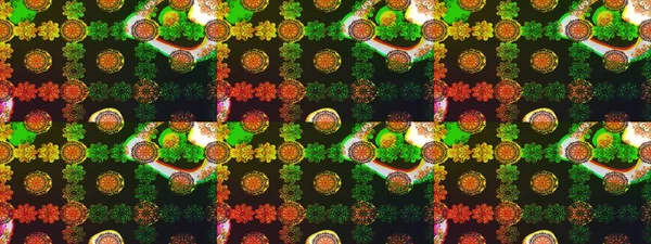 Parlak unsurları. Sorunsuz çiçek deseni kaydırma kağıt, davet, el ilanı, afiş veya Web sitesi Web sitesi arka plan duvar kağıdı için kullanılabilir. Elle çizilmiş Raster illüstrasyon.