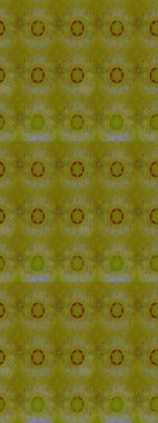 Motley illüstrasyonu. Küçük renkli çiçekler. Küçük çiçekte güzel bir desen. Moda baskıları için zarif bir şablon. Kahverengi ve nötr çiçekli bahar çiçekleri.