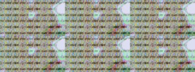 Tarafsız ve gri renklerde çiçekler. Raster illüstrasyonunda kusursuz çiçek deseni.