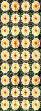 Tekrarlayan çiçek arkaplanı, zarif yeşil ve sarı çiçek duvar kağıdı. Yeşil ve sarı renkler üzerine çiçek desenli çizimler, el yapımı papatyalar, papatyalar.