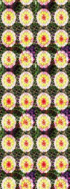 Sarı ve yeşil renkli çiçekler. Düz Çiçek Elementleri Tasarımı. Çiçeksiz desenli arka plan, yaz çiçekleri. Renkli Bahar Teması Kusursuz Arkaplan.