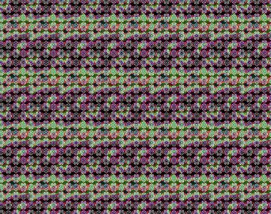 Tarafsız ve siyah renklerde çiçekler. Elle boyanmış suluboya resim çizimi çiçekler ve bitkiler.