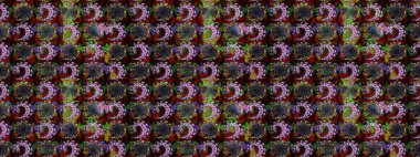 Nazik, yaz çiçekleri siyah ve kahverengi renklerde. Raster illüstrasyonu. Raster çiçek desenli ve çiçekli..