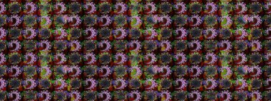 Nazik, yaz çiçekleri siyah ve kahverengi renklerde. Raster illüstrasyonu. Raster çiçek desenli ve çiçekli..