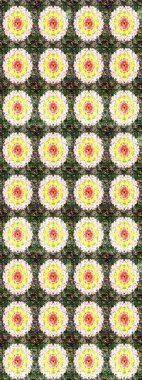 Çiçekler, yapraklar, dekoratif elementler, sıçramalar, lekeler, el çizimleri çizimleri ve Doodle çizimleri, grafik raster çizimleri.