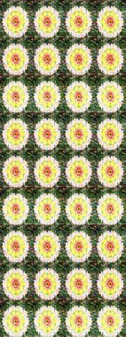 Kusursuz bir geçmişi var. Kumaş, tekstil, duvar kağıdı baskısı için. Eski usul. Raster illüstrasyonu. Tomurcukları papatya çiçekleri olan sevimli bir çiçek deseni. Miles Fleur, dandik süs.