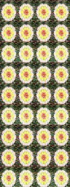 Yeşil ve sarı renklerde. Taslak dekoratif arka plan, çiçek mandala. Raster illüstrasyonu. Çiçek..