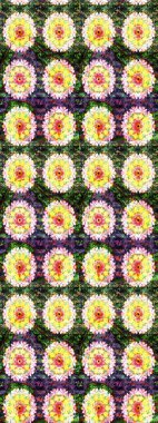 Karalama elementleri. Çizim çiçek deseni duvar kağıdı, web sitesi arka planı, ambalaj kağıdı, davetiye, broşür, afiş veya web sitesi için kullanılabilir. El çizimi Raster illüstrasyonu.