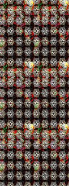 Siyah ve kahverengi renkte çiçekler. Raster illüstrasyonunda çiçek deseni çizimi.