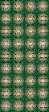 Geleneksel klasik raster altın pürüzsüz desen. Barok tarzında kusursuz bir doğulu süsü. Siyah ve kahverengi renklerdeki altın elementler.