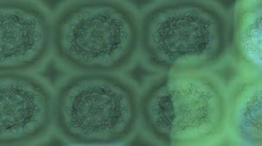 Renkli unsurlarla hareketli arka plan görüntüleri. Çiçekler. Eski model. Bayrak tarzı. Video kaydı. Şablon. Döngü. Kusursuz.. 