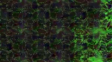 Renkli unsurlarla hareketli arka plan görüntüleri. Çiçekler. Eski model. Bayrak tarzı. Video kaydı. Şablon. Döngü. Kusursuz.. 