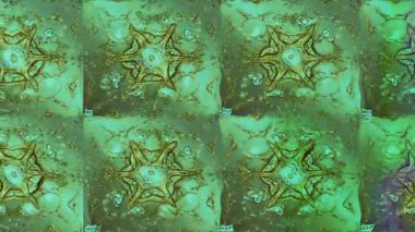 Renkli unsurlarla hareketli arka plan görüntüleri. Çiçekler. Eski model. Bayrak tarzı. Video kaydı. Şablon. Döngü. Kusursuz.. 