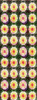 Flower pattern seamless on green and yellow colors, hand-drawn chamomiles, daisies. Repeating floral backdrop, Elegant green and yellow flowers wallpaper.