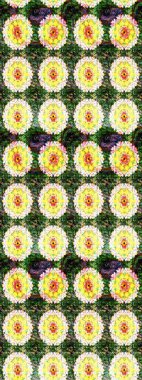 Çiçek tasarımı için inanılmaz bir kolaj cenneti tarzı. Parlak çiçekli kolaj çiçekleri yeşil ve sarı. Çiçekli zambaklar dikişsiz arkaplan.