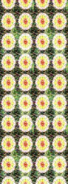 Karalama elementleri. Çizim çiçek deseni duvar kağıdı, web sitesi arka planı, ambalaj kağıdı, davetiye, broşür, afiş veya web sitesi için kullanılabilir. El çizimi Raster illüstrasyonu.