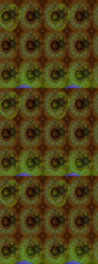 Güzel kumaş deseni. Güzel suluboya yaz çiçekleri deseni..