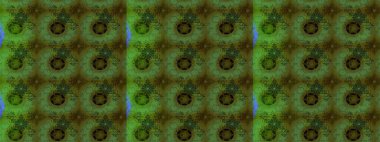 Raster Hip kumaş deseni. Eskiz Vintage Çiçek Deseni.