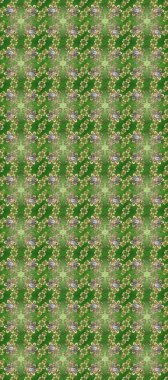 Yeşil, nötr ve bej renklerinde, altın elementli, pürüzsüz desenler. Şam tasarım için kusursuz desen.