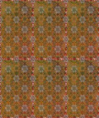 Çiçekler, yapraklar, dekoratif elementler, sıçramalar, lekeler, el çizimleri çizimleri ve Doodle çizimleri, grafik raster çizimleri.