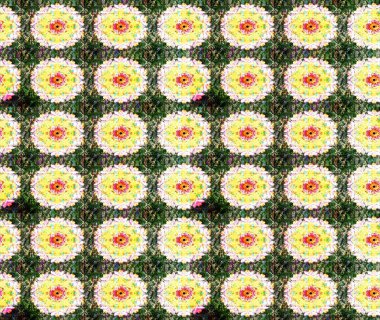 Raster illüstrasyonundaki çiçek desenli çizim. Renkli Bahar Teması eskiz kalıbı. Yeşil renkli çiçekler. Düz Çiçek Elementleri Tasarımı.