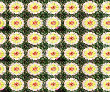 Raster illüstrasyonundaki çiçek desenli çizim. Renkli Bahar Teması eskiz kalıbı. Yeşil renkli çiçekler. Düz Çiçek Elementleri Tasarımı.