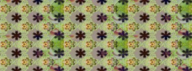 Çiçekler suluboya stilinde gri ve nötr renklerde. Raster illüstrasyonunda çiçek deseni çizimi.