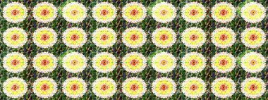Düz Çiçek Elementleri Tasarımı. Renkli Bahar Teması eskiz kalıbı. Raster Şirin kumaş deseni. Eskiz klasiği.