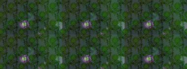 Zarif, parlak ve eskiz yeşil ve gri çiçek desenli tasarım. Sabıka fotoğraflarında, bebek kıyafetlerinde, duvar kâğıtlarında, paket kutularında falan kullanılabilir. Raster..