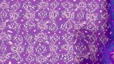 Renkli unsurlarla hareketli arka plan görüntüleri. Çiçekler. Eski model. Bayrak tarzı. Video kaydı. Şablon. Döngü. Kusursuz.. 