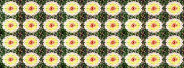 Renkli Bahar Teması eskiz kalıbı. Düz Çiçek Elementleri Tasarımı. Parlak arkaplan eskiz desenli çiçekli fantezi tasarımı.