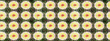 Çiçek desenli eskiz. Yeşil ve sarı renkli çiçekler. Tişört baskısı için çiçek boyama rasteriName.