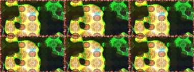 Suluboya, elle çizilmiş. Raster illüstrasyonu. Gri ve yeşil yapraklı yabani çiçekler. Taslak arkaplan deseni.