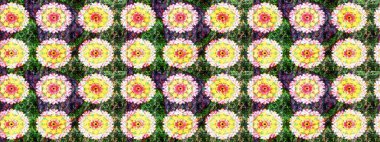 Suluboya elle çizilmiş çiçek desenli eskiz deseni. Parlak renkli fantezi çiçekleri, yapraklar, yeşil ve sarı renkli tomurcuklar yeşil ve sarı.