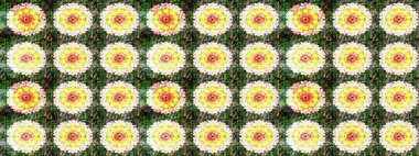 Karalama çiçekleri çizim kalıbı. Yeşil ve sarı el çizimi desen. Sanat ilham verici ve sarı renkli çiçekler ve yapraklar. Raster deseni.