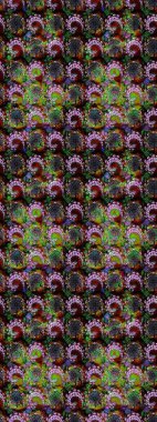 Bahar mevsimi. Nazik romantik baskı. Tatil havası. Siyah ve kahverengi renkte çiçekler. Raster güzel bir çiçek deseni çiziyor..