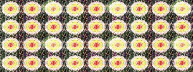 Renkli Bahar Teması eskiz kalıbı. Düz Çiçek Elementleri Tasarımı. Güzel kumaş deseni. Raster illüstrasyonunda çiçek deseni çizimi.