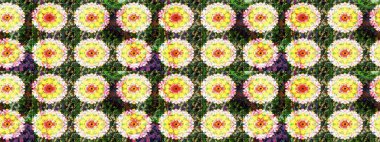 Düz Çiçek Elementleri Tasarımı. Karalama çiçeği. Renkli Bahar Teması eskiz kalıbı. Güzel kumaş deseni. Zentangle soyut çiçekleri. Raster illüstrasyonu.