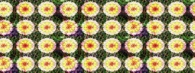 Düz Çiçek Elementleri Tasarımı. Karalama çiçeği. Renkli Bahar Teması eskiz kalıbı. Güzel kumaş deseni. Zentangle soyut çiçekleri. Raster illüstrasyonu.