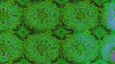 Renkli unsurlarla hareketli arka plan görüntüleri. Çiçekler. Eski model. Bayrak tarzı. Video kaydı. Şablon. Döngü. Kusursuz.