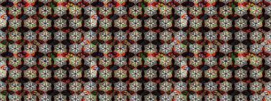 Halk tarzı. Modern çiçek arkaplanı. Parlak renkli çiçekleri ve siyah ve kahverengi renkte yaprakları olan harika bir çiçek deseni. Moda baskıları için zarif bir şablon.