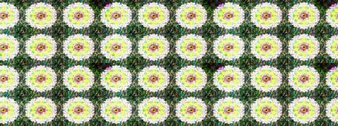 Raster illüstrasyonundaki çiçek desenli çizim. Düz Çiçek Elementleri Tasarımı. Renkli Bahar Teması eskiz kalıbı. Güzel kumaş deseni.