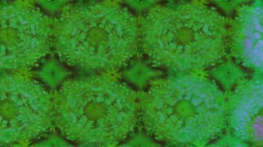 Renkli unsurlarla hareketli arka plan görüntüleri. Çiçekler. Eski model. Bayrak tarzı. Video kaydı. Şablon. Döngü. Kusursuz.. 