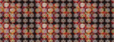 Raster deseni. Nazik, yaz çiçekleri siyah ve kahverengi renklerde. Raster illüstrasyonu. Küçük çiçekte sevimli çiçek deseni var..