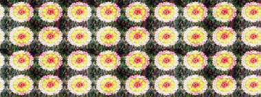 Paisley el çizimi elementler. Ev dekoru. Fantezi çiçekli eskiz deseni, doğal duvar kağıdı, çiçek desenli kıvrımlı illüstrasyon.