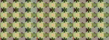 Asya tekstil tarzında. Raster illüstrasyonu. Renkli Bahar Teması eskiz kalıbı. Düz Çiçek Elementleri Tasarımı. Çiçek desenli çizim. Güzel kumaş deseni.
