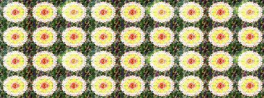 Raster Güzel kumaş deseni. Çiçek arkaplan ile soyut zarafet çizim deseni.